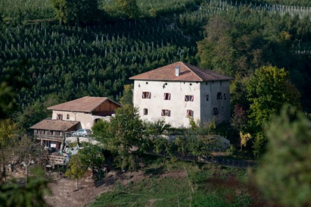 Vendita castello in montagna Fondo Trentino-Alto Adige foto 8